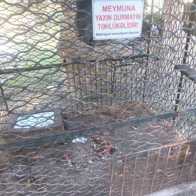 Sərin” və “Göygöl” restoranlarında vəhşi heyvan və quşların saxlanılması aşkarlandı - FOTOLAR